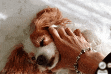 a person wearing a bracelet is petting a dog 's face