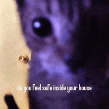 House Cat GIF