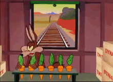 Wile E Coyote Looney Tunes GIF