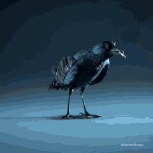 Crow Smorkin GIF - Crow Smorkin Dat GIFs