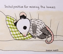 Miss You Homies GIF - Miss You Homies Opossum GIFs