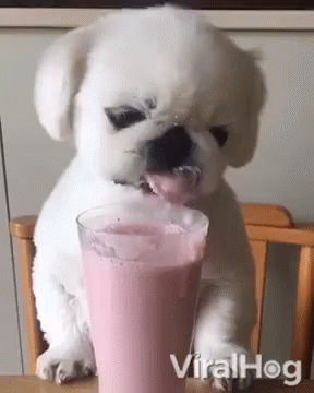Lick Drink GIF - Lick Drink Smoothie GIFs