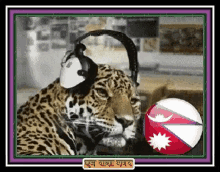 Gif Full Listening To Music GIF - Gif Full Listening To Music Leopard GIFs