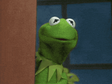 kermit the frog says that 's the worst explanation he 's ever heard