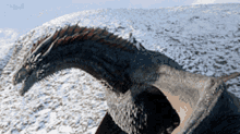 Game Of Thrones Dragon GIF - Game Of Thrones Dragon Flying GIFs