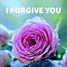 Forgiven Iforgive Forgive Jesus Victoriabea4rose GIF - Forgiven Iforgive Forgive Jesus Victoriabea4rose GIFs