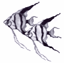 Fish Pixels GIF