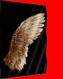 Flag Angel Wings GIF - Flag Angel Wings GIFs