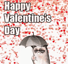 Happy Valentines Day Cat GIF - Antisocial Cat Valentines Day GIFs