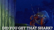 a cartoon of a crab with the words did you get that shark