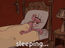 Pink Panther Cartoon GIF - Pink Panther Cartoon Sleeping GIFs