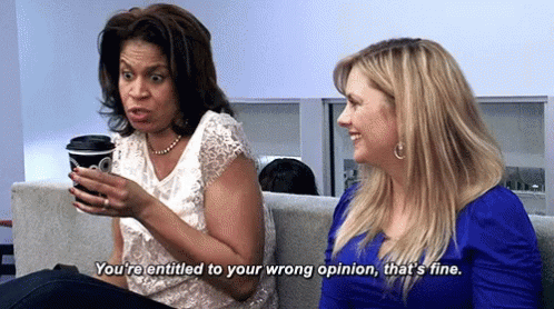 sass-youre-entitled-to-your-wrong-opinion.gif