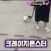 a person is walking a small white dog on a leash with a family r logo on the bottom