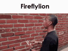 Fireflylion Fireside Chat GIF - Fireflylion Fireside Chat Firefly GIFs