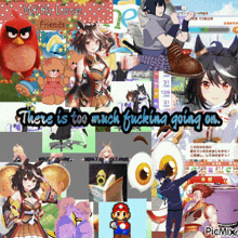 a collage of anime characters with the words there is too much fucking going on