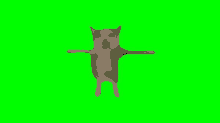 T Pose Cat Cat GIF - T Pose Cat Cat T Pose GIFs