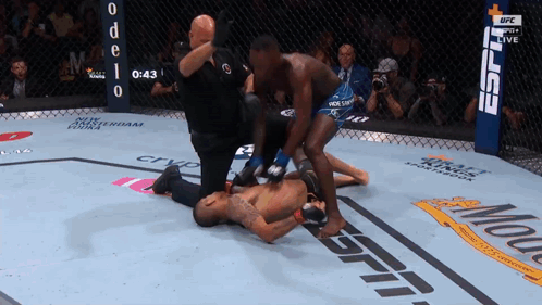 israel-adesanya-arrow-izzy-alex-pereira.gif