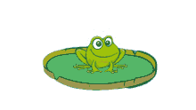 frog regia