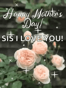 a mother 's day card with roses and the words `` happy mother 's day sis i love you ! ''