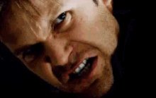 Alaric Saltzman GIF - Alaric Saltzman Alaric Shut Up GIFs