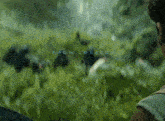 a blurred image of a field with the words from creator written in blue