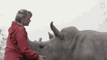 Behave Meet Six Rescued Rhinos That Survived Poaching GIF - Behave Meet Six Rescued Rhinos That Survived Poaching Calm GIFs