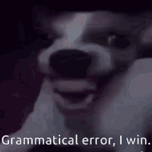 Yo Mama Grammatical Error I Win GIF - Yo Mama Grammatical Error I Win I Did Your Mom GIFs