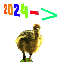 2024 Funny Animals Sticker - 2024 Funny Animals Joke Stickers
