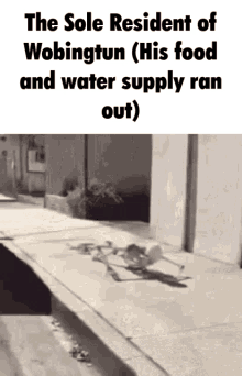 Food And Water Wobingtun GIF - Food And Water Wobingtun The Only Resident Of GIFs