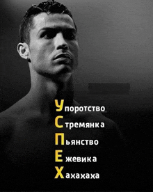 мемы Meme