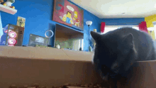 Cat Eating Ricky Berwick GIF - Cat Eating Ricky Berwick Ricky Berwick Vlog GIFs