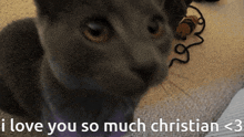 Cat I Love You So Much Christian GIF - Cat I Love You So Much Christian GIFs