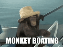 Monkey Boating GIF - Monkey Boating Boating Monkey GIFs
