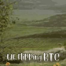 We Flipping Btc GIF - We Flipping Btc GIFs
