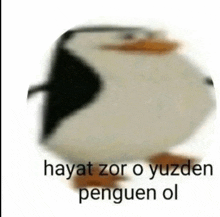 a blurry picture of a penguin with the words hayat zor o yüzden penguen ol written below it