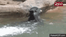 Taking A Bath Elephant GIF - Taking A Bath Elephant GIFs