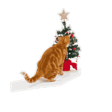 petsure cat christmas tree