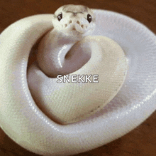 Snake GIF