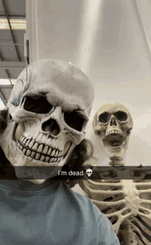 Dead Skull GIF - Dead Skull Meandbro GIFs