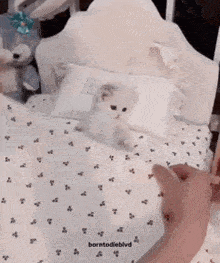a kitten is laying on a bed with a pillow that says b on it