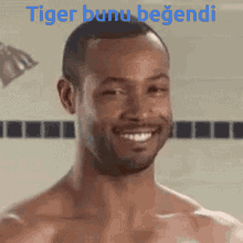 Tiger Frost Frost Tiger GIF