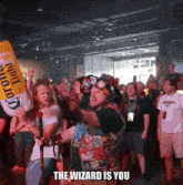 The Wizard Is You GIF