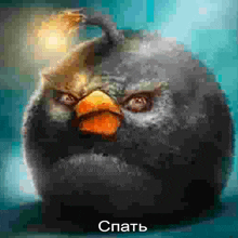 a picture of an angry bird with the words " спать " on the bottom right