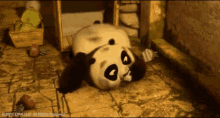 aww po kung fu panda baby cute