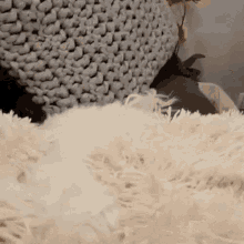 What You Doing Dog GIF - What You Doing Dog Surprise GIFs