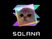 a picture of a cat in a square with the word solana below it