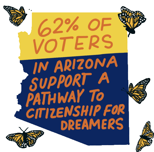 62percent Of Arizona Voters Support Pathway To Citizenship For Dreamers Sticker - 62percent Of Arizona Voters Support Pathway To Citizenship For Dreamers Pass The Dream Act Stickers