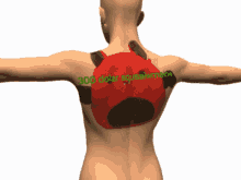 a 3d model of a man 's back with the words 300 dollar equate mellow written on it