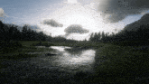 a river flows through a grassy field with trees in the background