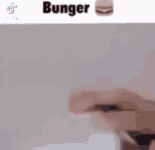 Borgor Bunger GIF - Borgor Bunger Cat GIFs